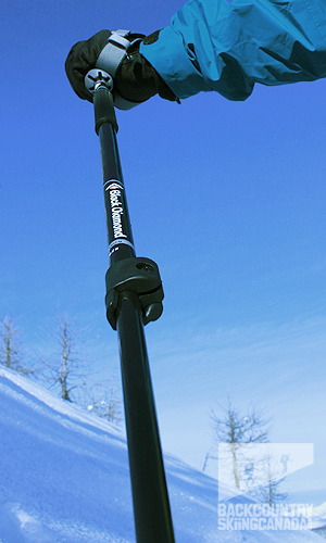 Black Diamond Pure Carbon Pole