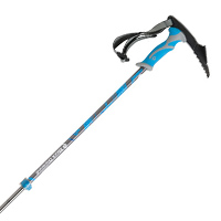 Black Diamond Whippet Self Arrest Ski Pole Review 