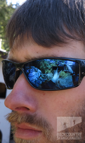 Bolle Speed Sunglasses Review