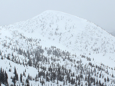 Backcountry Skiing Kootenay Pass Ski Touring Kootenay Pass