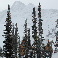 Fairy Meadow Hut