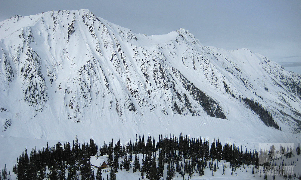 Fairy Meadow Hut