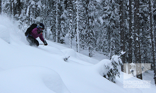 Summit Mountain Guides AST1 Course