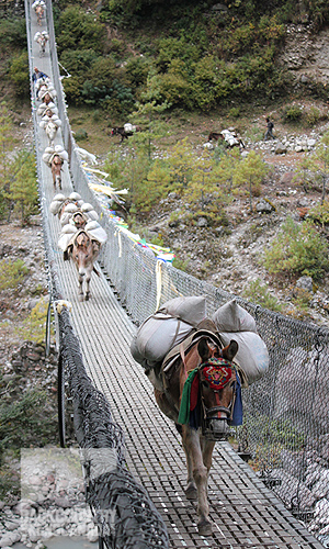 Everest Base Camp trek and climbing Lobuche Peak 