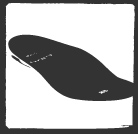 Ski boot insole reviews