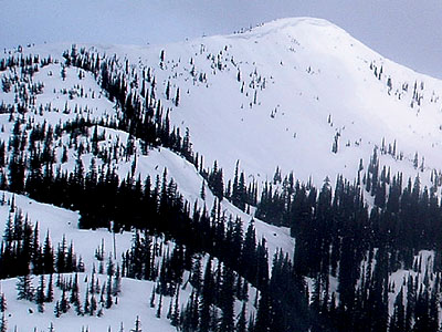 Backcountry Skiing Kootenay Pass Ski Touring Kootenay Pass