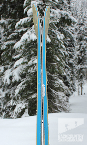 surface walk free skis