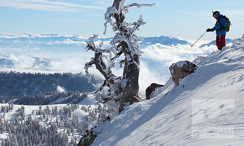 Utah backcountry skiing