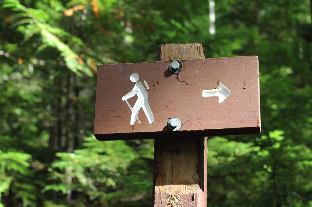 Kokanee Old Growth Trail