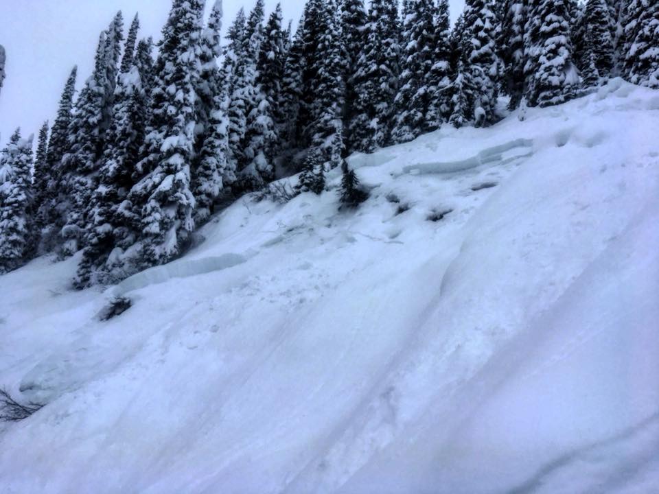 Current State of The Backcountry