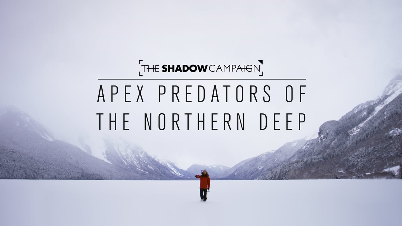 The Shadow Campaign // Apex Predators of the Northern Deep