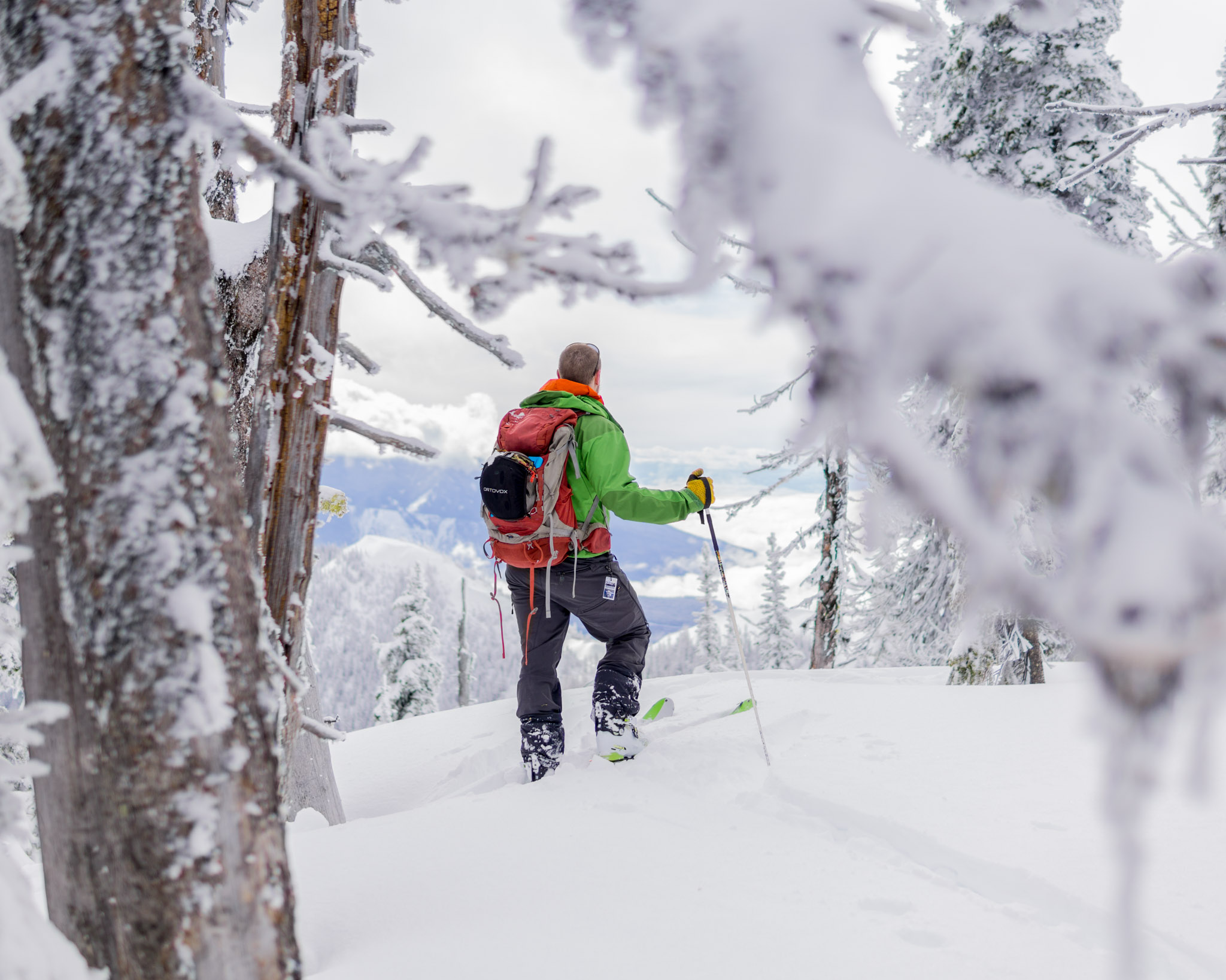 Fernie in Feb