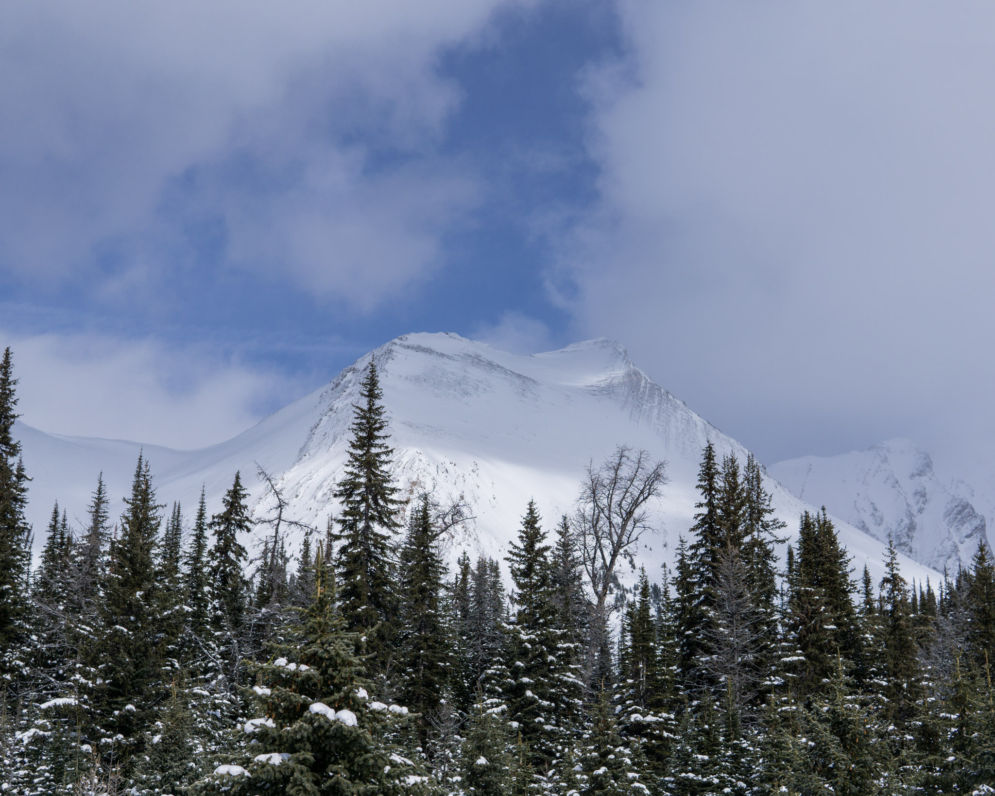 Rockies Conditions 03-Mar-17