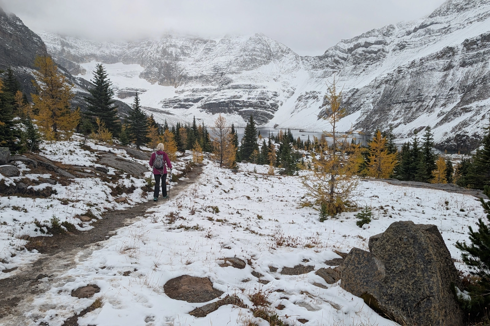 Escaping the 'Larch March Madness'