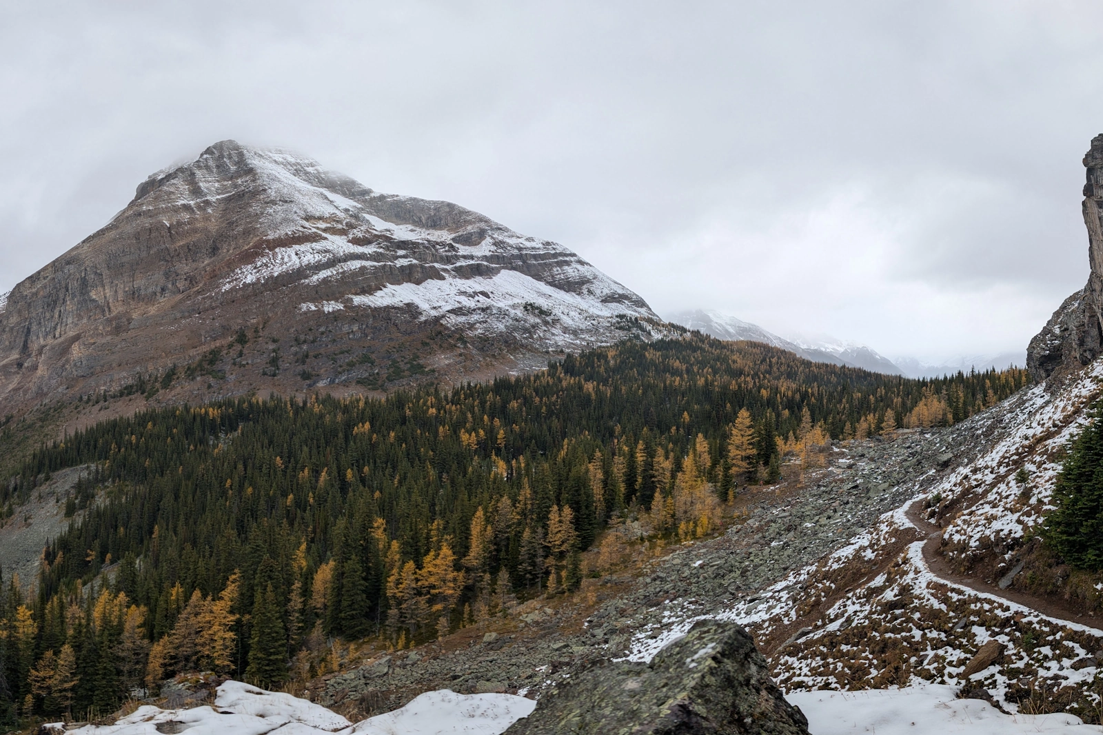 Looking back along the ascent trail over scree slopes and scattered snow patches into the forested valleys flanking the Great Divide.