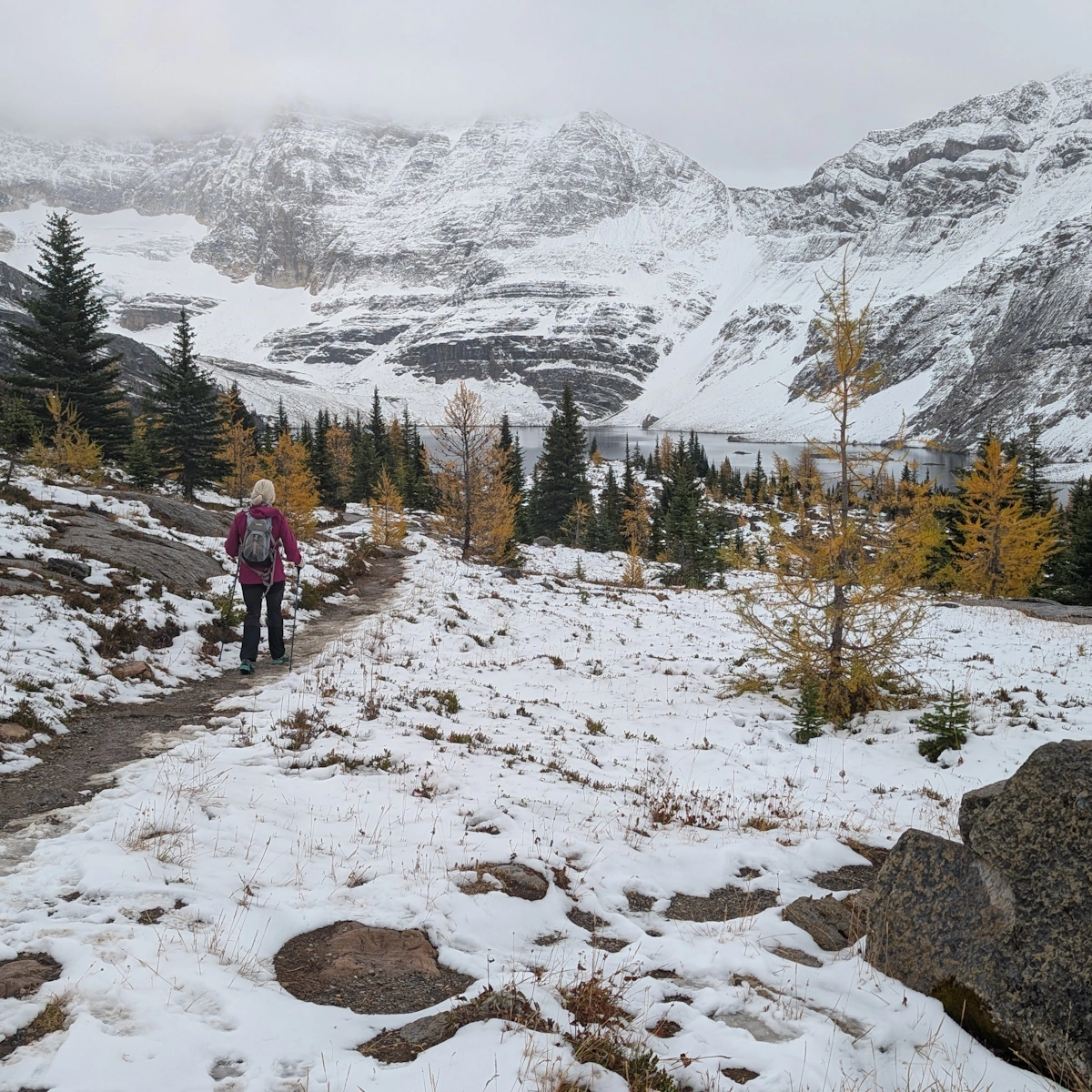 Escaping the 'Larch March Madness'