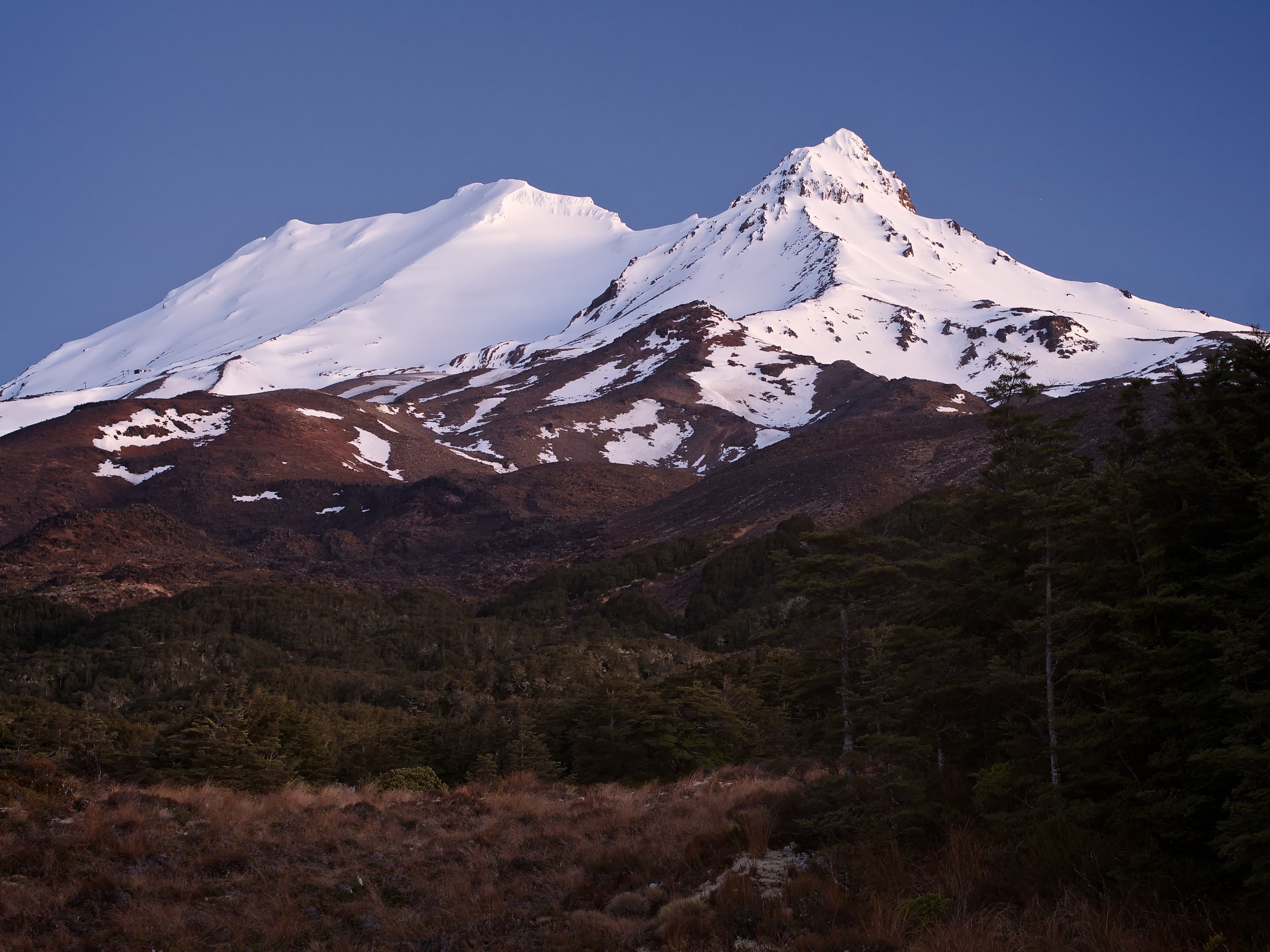 NZ SkiTourer