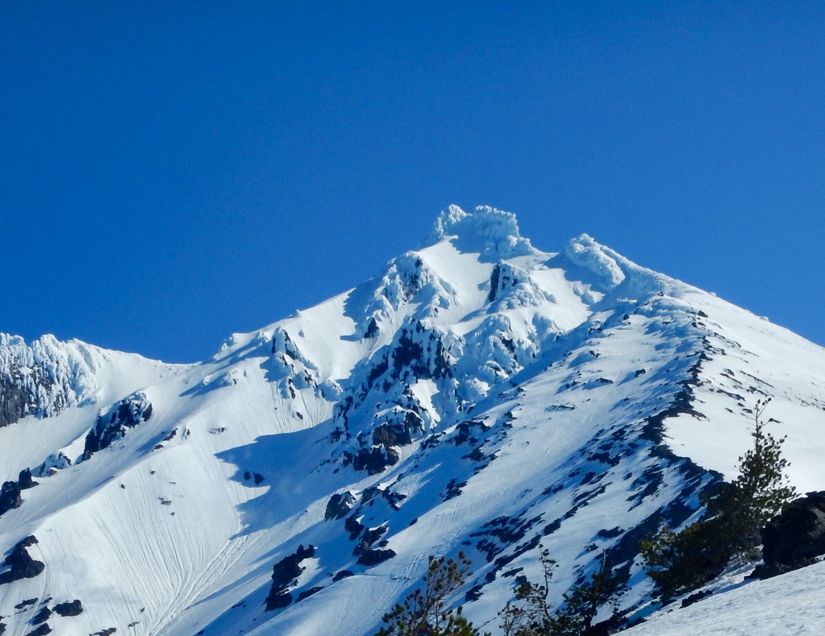 The Myth of the Alpine Fish