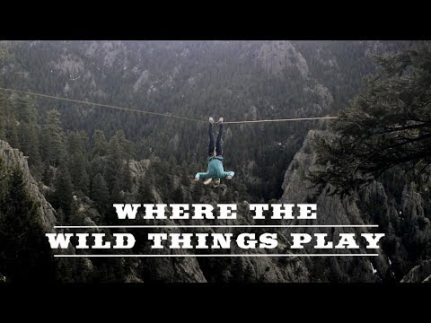 Where The Wild Things Play
