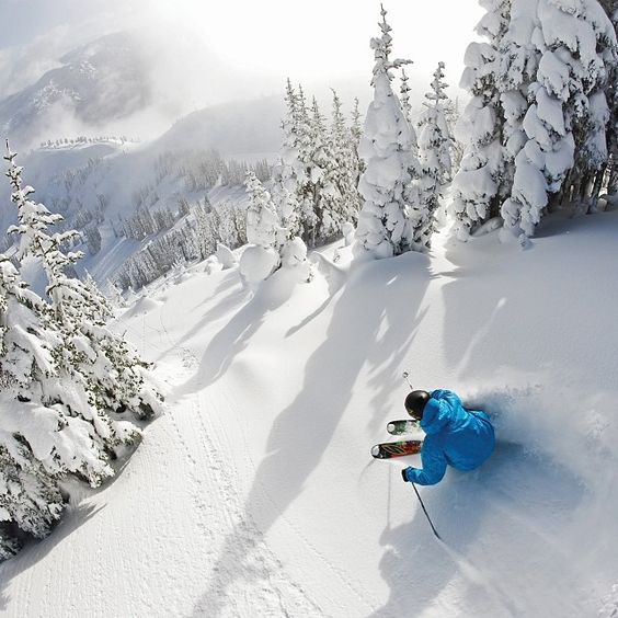 Steep Dreams Skimo Race @ Panorama