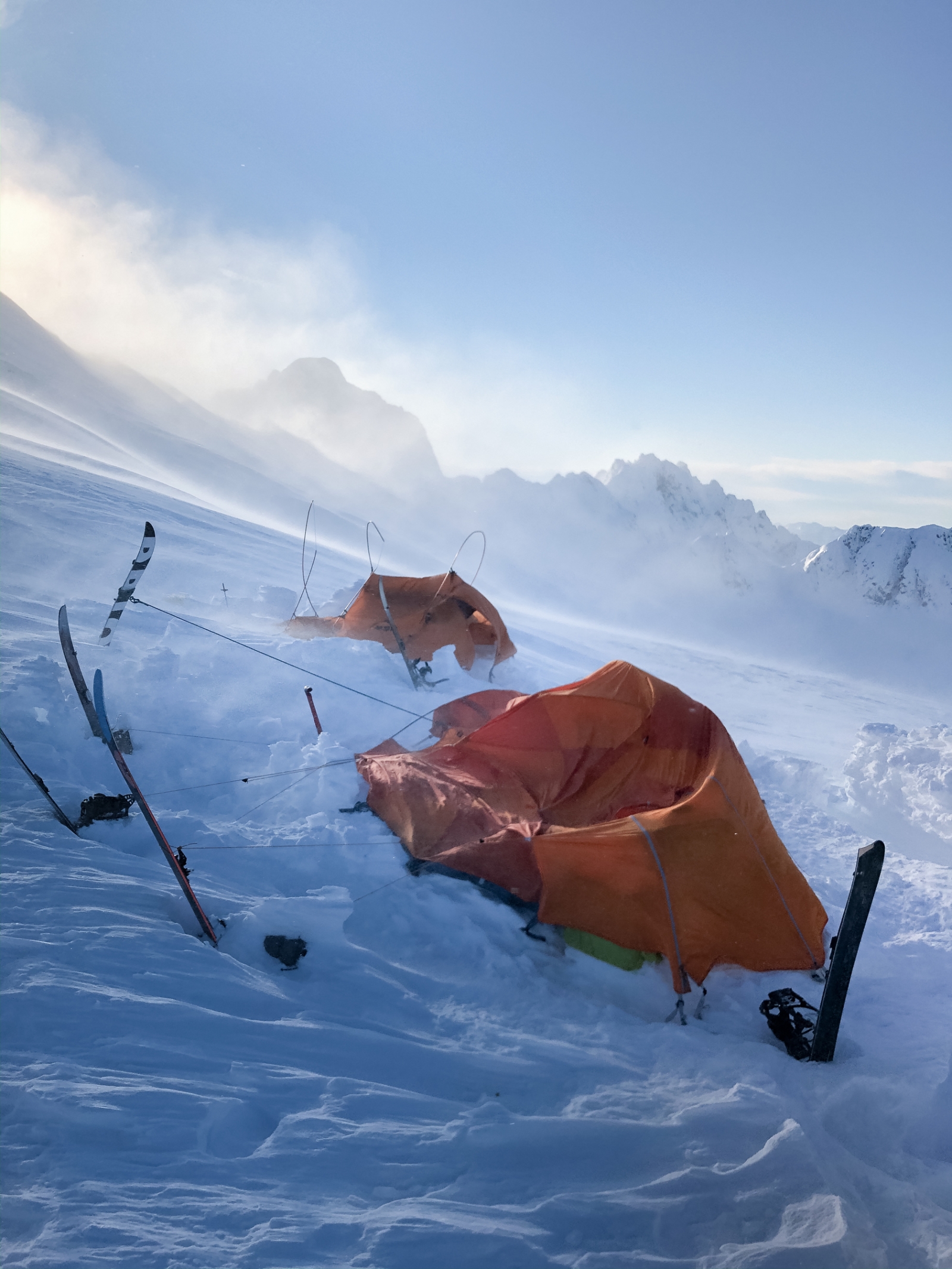 What do the winds bring? A story of survival in coastal BC
