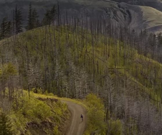 Gravel Bike Video. The Path Less Paved.