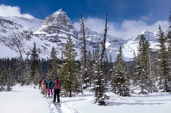 Backcountry Skiing if You’re New to Skiing