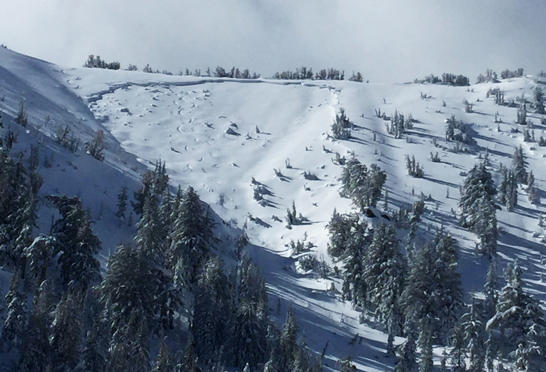 Tahoe Avalanche Incident Report