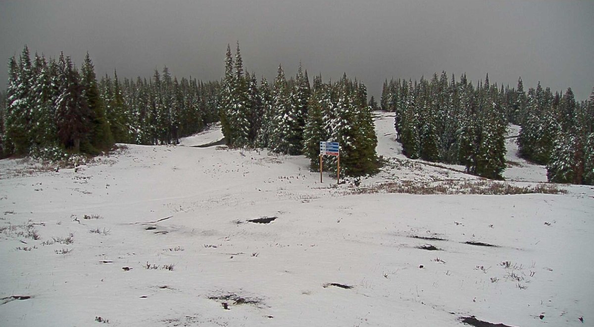 Snow reported this weekend across BC