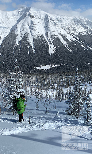 Powder Stagecoach Cat Skiing