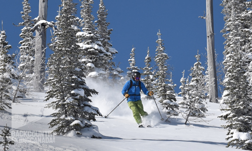 Powder Stagecoach Cat Skiing