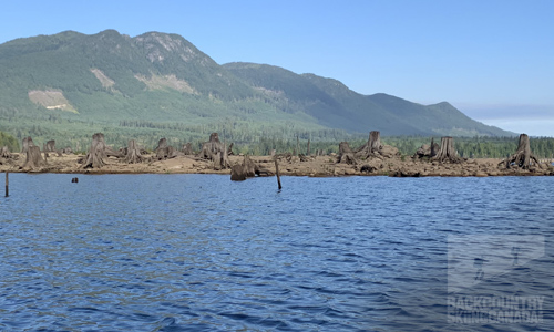 Powell Forest Canoe Route