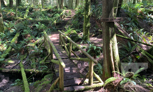 Sunshine Coast Trail