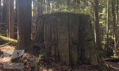 Sunshine Coast Trail