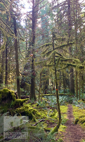 Sunshine Coast Trail