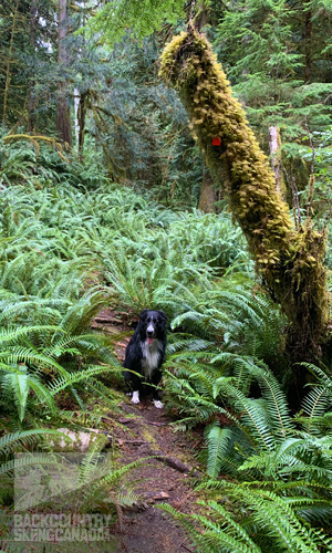 Sunshine Coast Trail