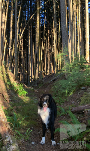 Sunshine Coast Trail