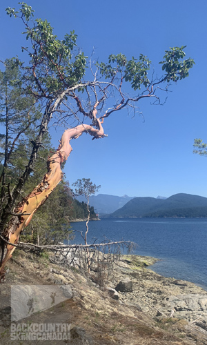 Sunshine Coast Trail