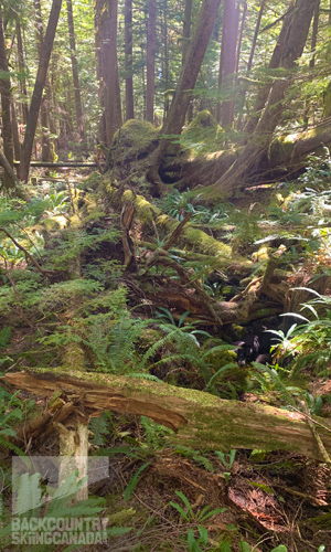 Sunshine Coast Trail