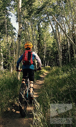 Mountain Biking