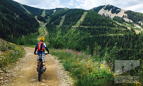 Mountain Biking