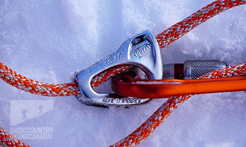 Petzl RAD System