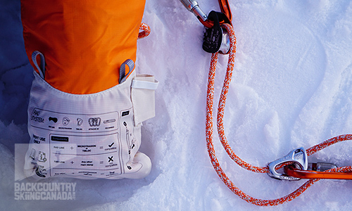 Petzl RAD System