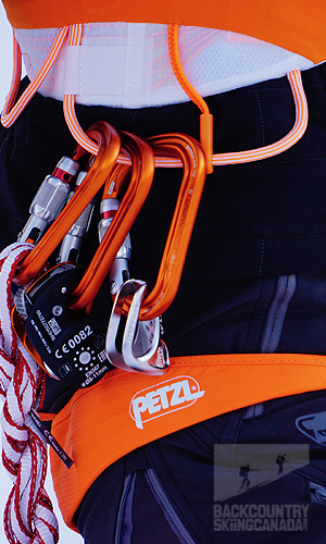 Petzl RAD System and Sitta Harness