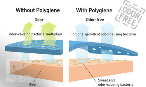 Polygiene