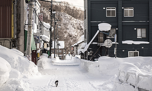 Skiing Japan