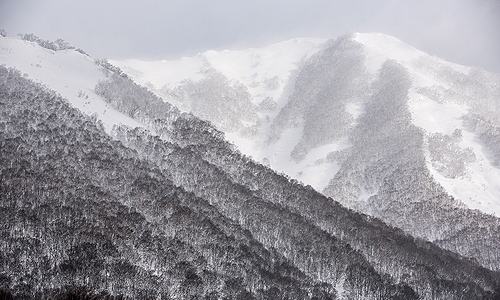 Skiing Japan