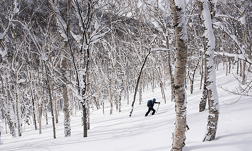 Backcountry Skiing Japan