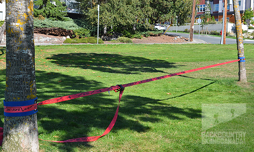 Slackline Industries Base Line and Aggro Line Slacklines