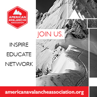 American Avalanche Association
